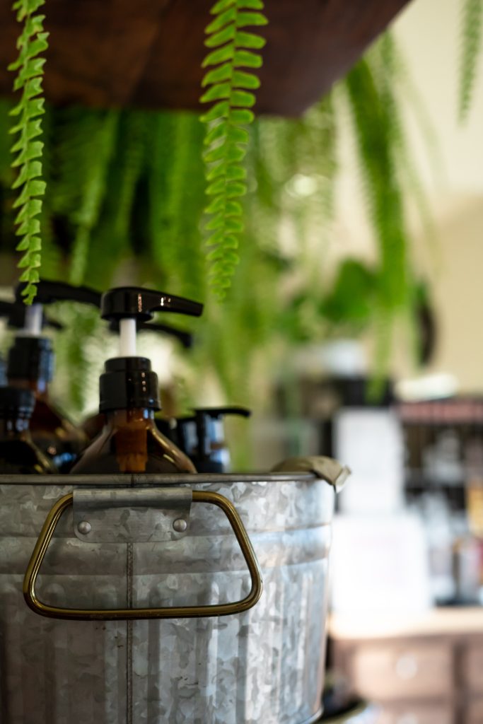 Fern and Shampoo